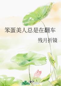 笨蛋美人总是在翻车by逆羽羽