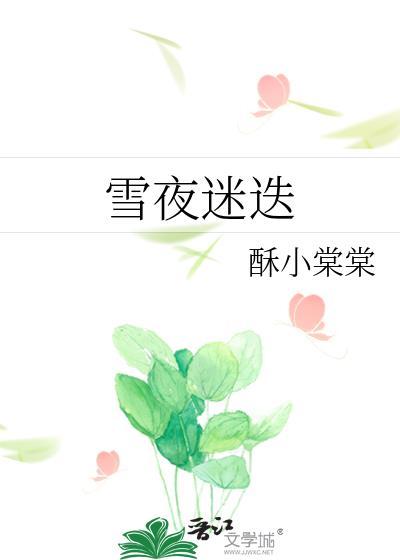 雪夜迷迭免费阅读笔趣阁