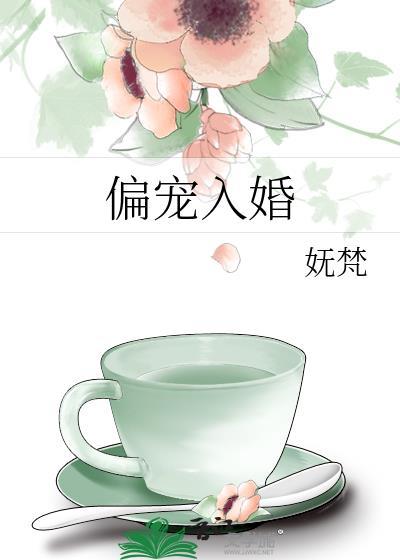 偏宠入婚by妩梵番外