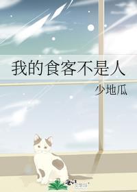 我的食客不是人免费阅读
