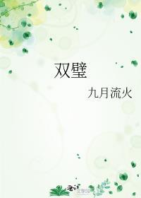 双璧车