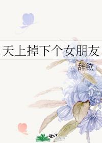 天上掉下个女朋友全集