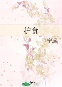 护食宁远