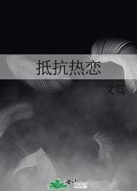 抵抗热恋txt