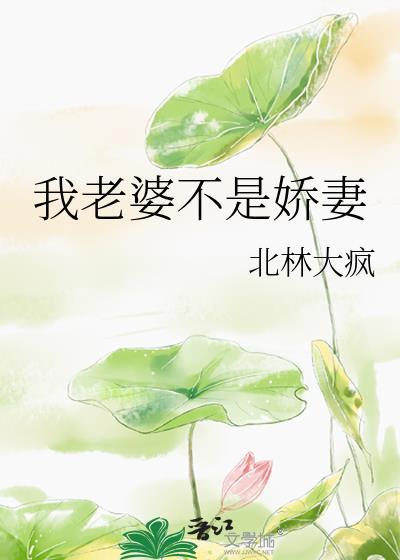 我老婆不是娇妻by北林大笔趣阁