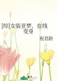 双生夫郎互换人生后剧情简介