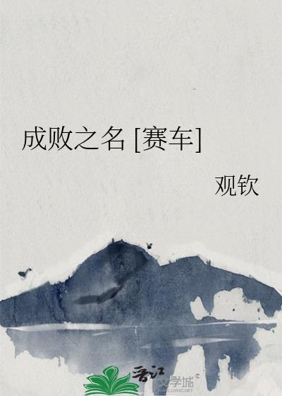 成败之名赛车