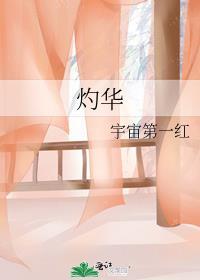 灼灼韶华