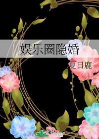 娱乐圈 隐婚