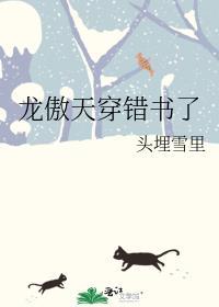 龙傲天穿错书了免费阅读