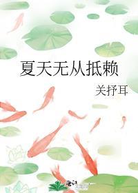 夏天无从抵赖TXT百度