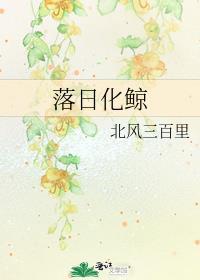 落日化鲸txt百度