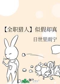 全职猎人抄袭