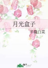 月光宝盒盒子