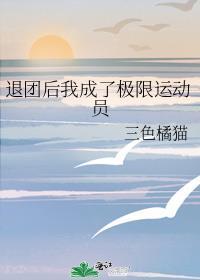 退团后我成了一些