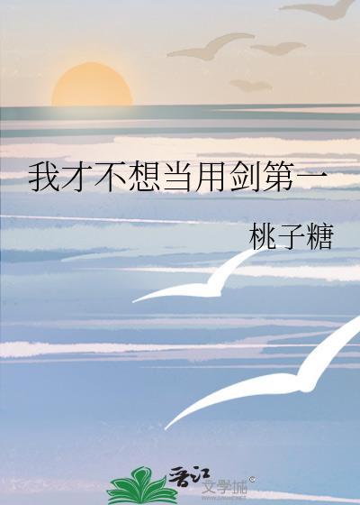 雍正小老婆 作者风轻轻