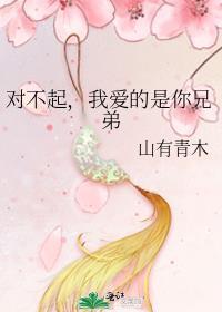 我爱的是你兄弟TXT