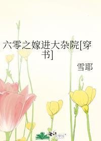 大杂院的女人电视剧