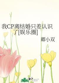 我cp离结婚只差认识了[娱乐圈