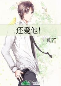 还爱他by睡芒讲了什么