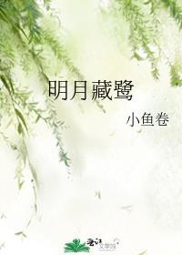 银碗盛雪 明月藏鹭
