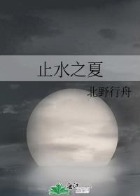 止水之夏免费阅读