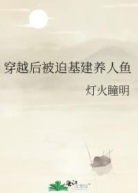 穿越后被迫基建养人鱼 作者灯火瞳明