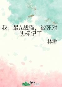 被死对头标记了林渺