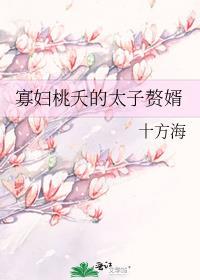 寡妇桃夭的太子赘婿十方海