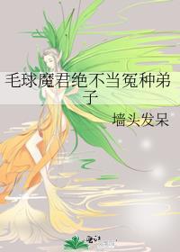毛球球专栏