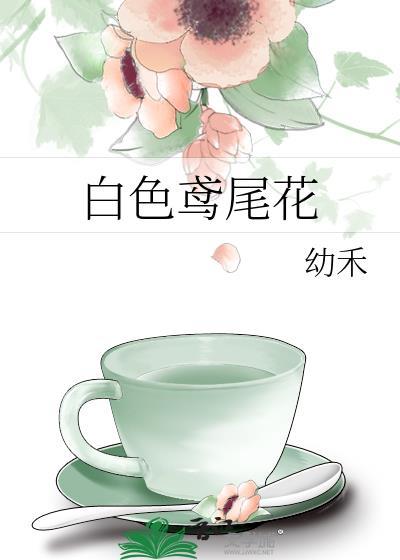 白色鸢尾花许愿周聿白