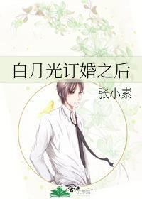 白月光先婚后爱
