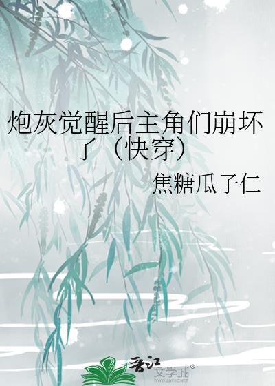 炮灰觉醒后主角们崩坏了(快穿)txt