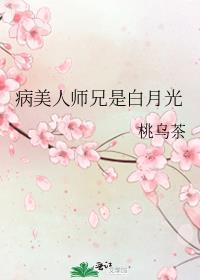 病美人师兄是白月光TXT作者沈江山著