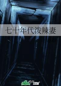 重回七零年代泼辣妻