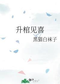 升棺见喜 黑猫白袜子免费阅读