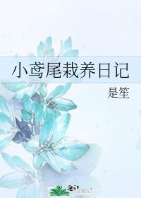 撒嘴别叼着狗txt