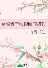 穿成破产动物园的猎豹讲什么