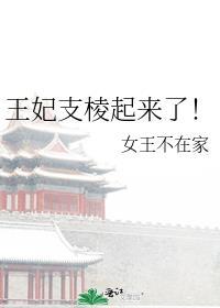 王妃死前只有一个奴婢芍药在旁