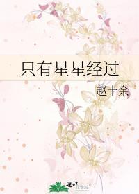 只有星星经过百度