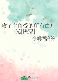 主角攻受我打起来了