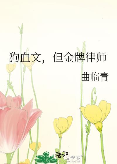 金牌律师by