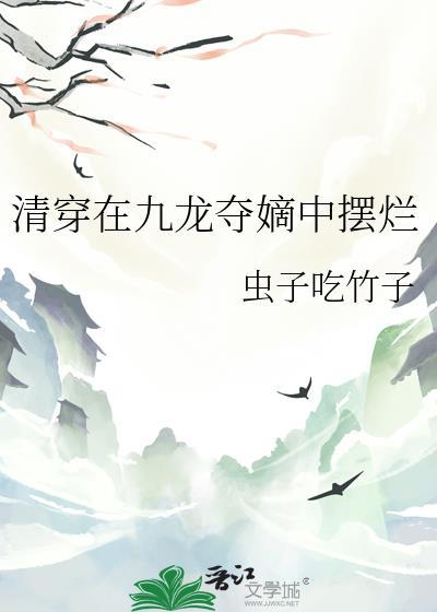 穿越清朝九龙夺嫡