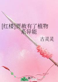 红楼之贾赦继室