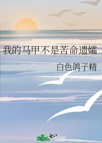 我的马甲不是苦命遗孀原版