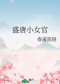 盛唐小京都百科