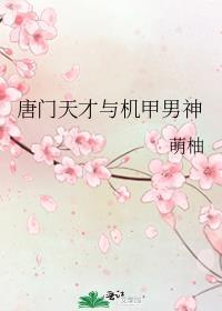 唐门天才与机甲男神TXT