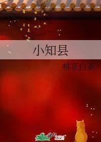 小知县桃花白茶TXT宝书网