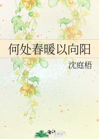 何处春暖以向阳全文无弹窗阅读
