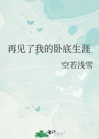 再见了我的卧底生涯百度百科